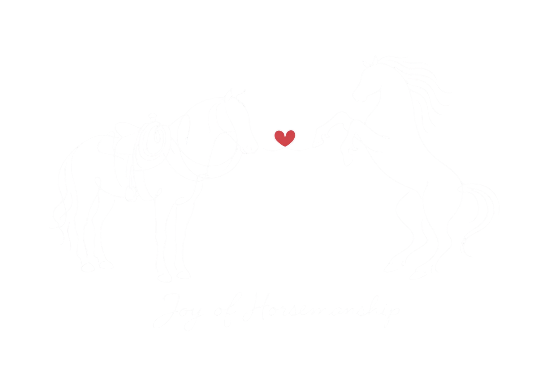 Joyce de Vos | Joy of Horsemanship